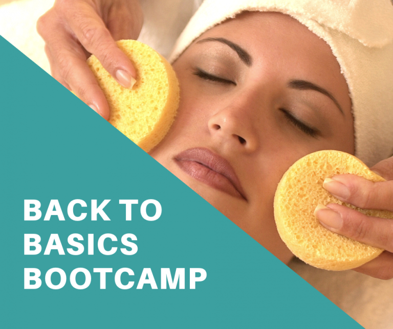 Back to Basics Boot Camp – Elaine Sterling Education
